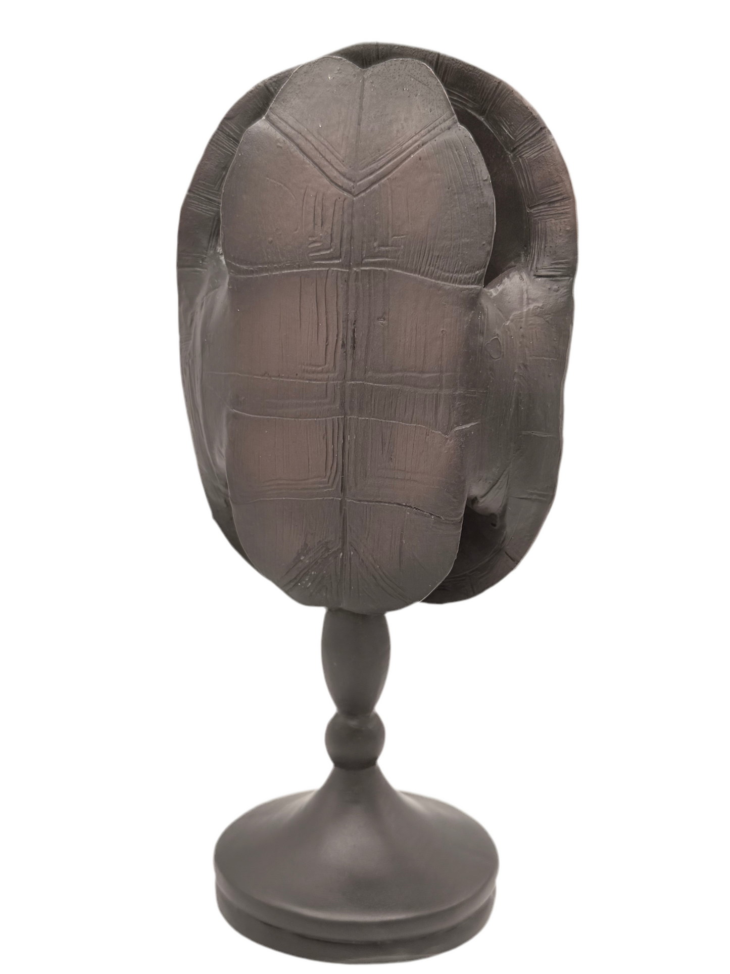 Tortoise Shell Sculpture 7”