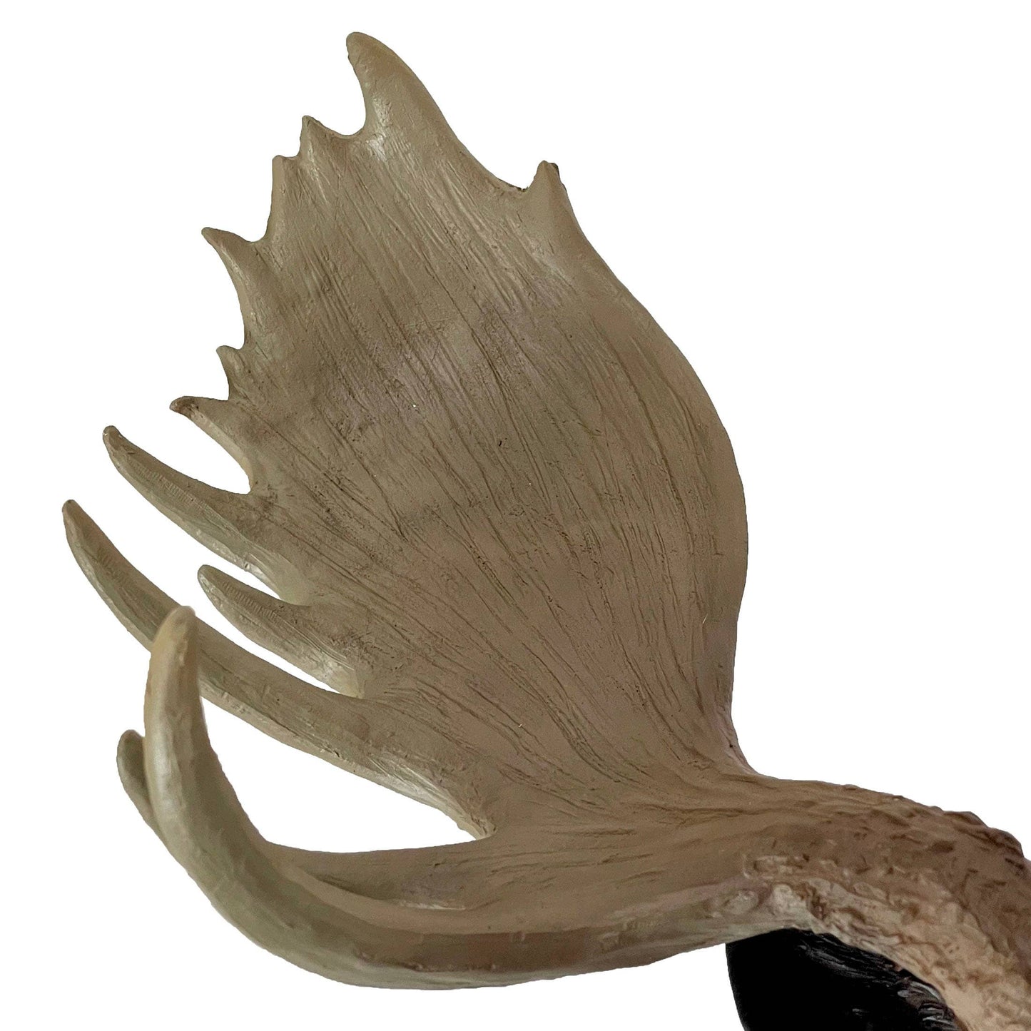 North American Moose Head Bust Wall Hanging