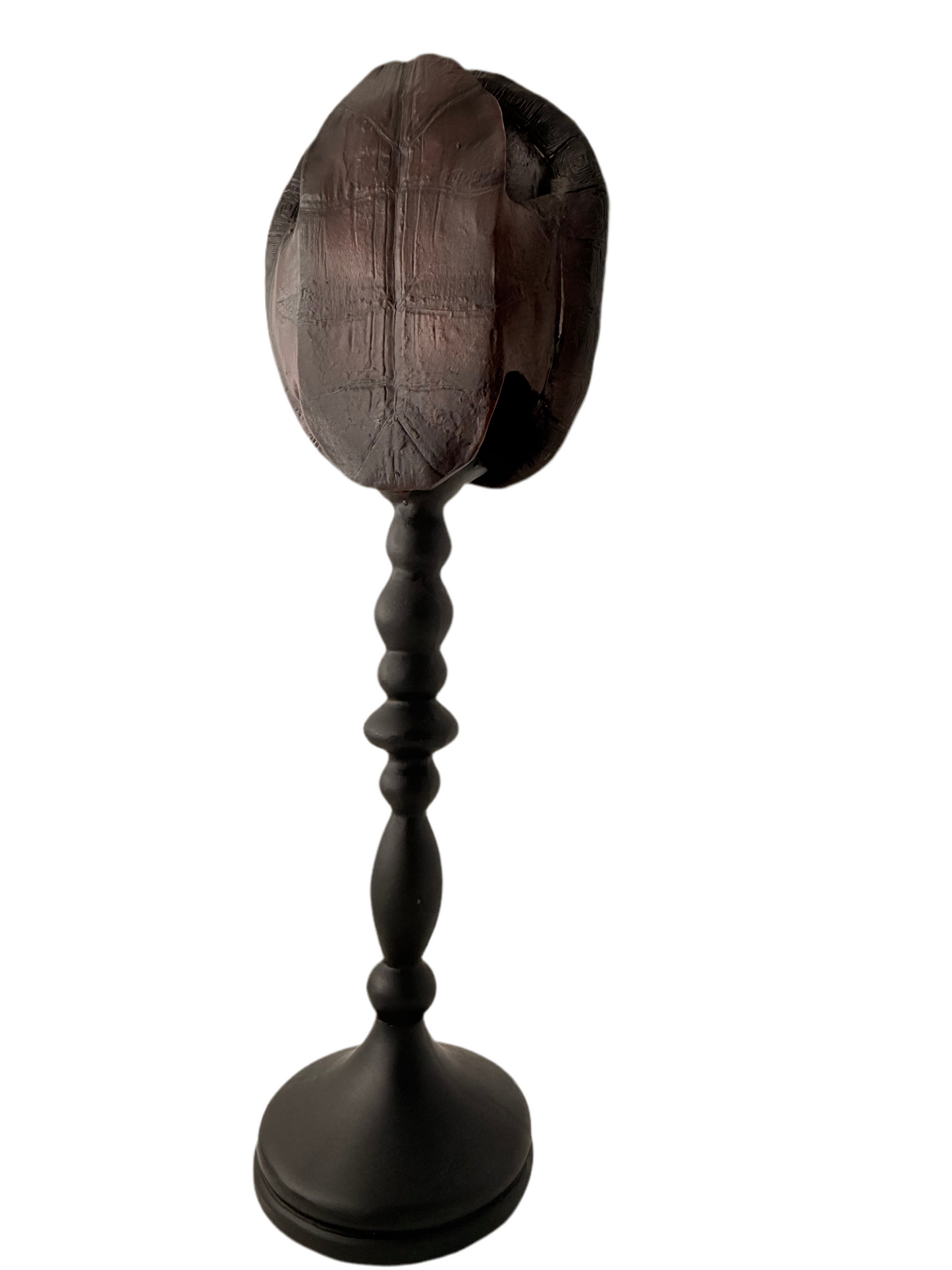 Tortoise Shell Sculpture 10”