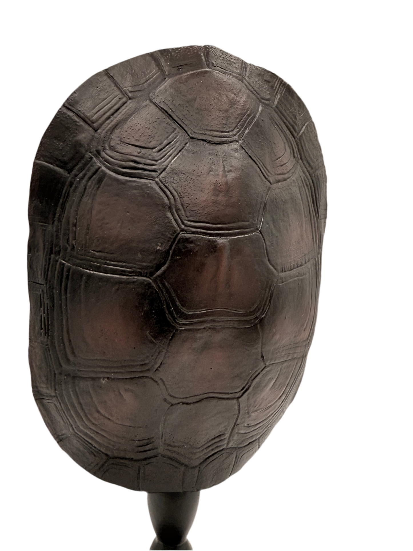 Tortoise Shell Sculpture 7”