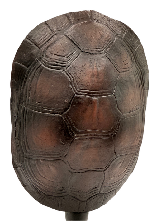 Tortoise Shell Sculpture 7”