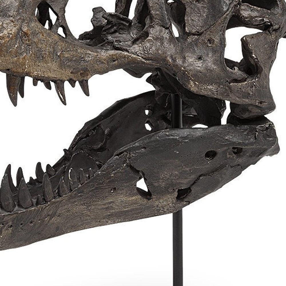 Pieza decorativa de resina marrón con forma de calavera de tiranosaurio rex