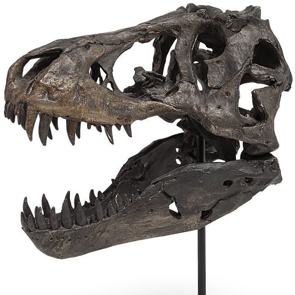 Pieza decorativa de resina marrón con forma de calavera de tiranosaurio rex