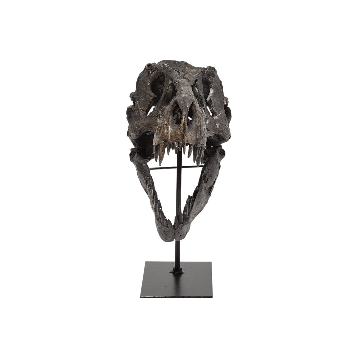 Pieza decorativa de resina marrón con forma de calavera de tiranosaurio rex