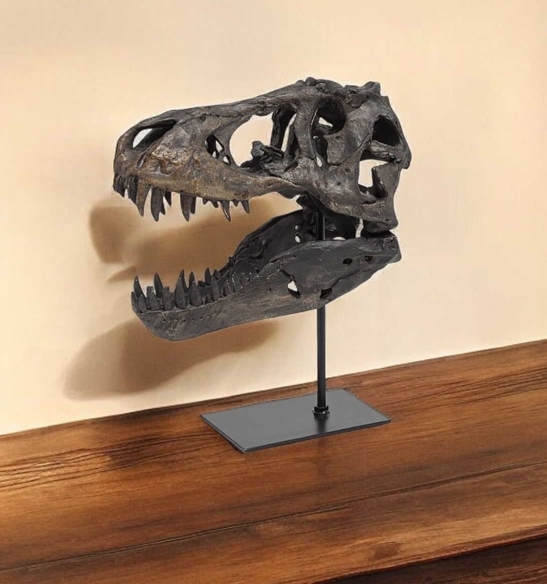 Pieza decorativa de resina marrón con forma de calavera de tiranosaurio rex