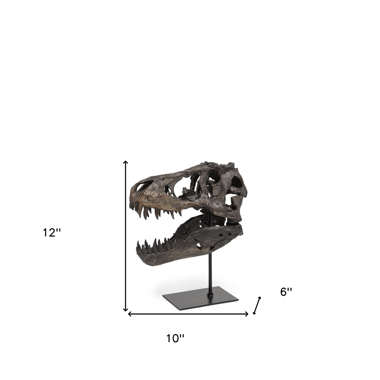 Pieza decorativa de resina marrón con forma de calavera de tiranosaurio rex