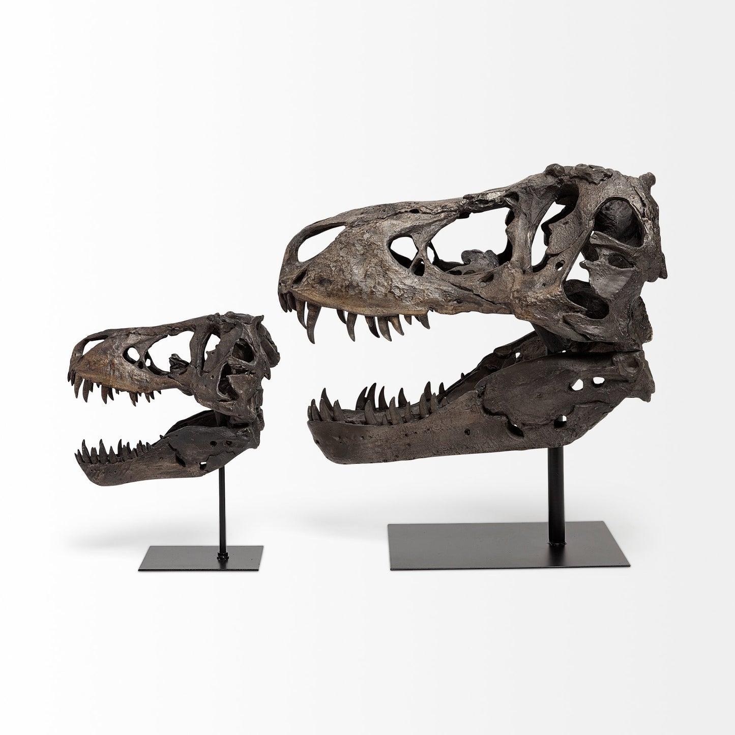 Pieza decorativa de resina marrón con forma de calavera de tiranosaurio rex